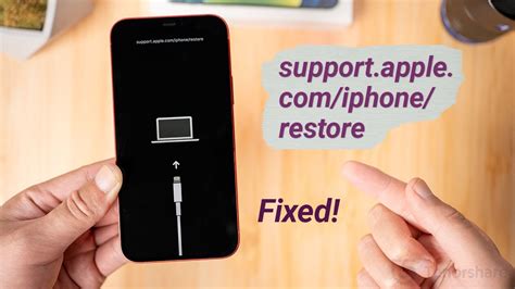 apple support/restore